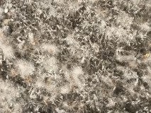 3A7E7D36-00CA-4FA1-B61B-0A9E4E091661