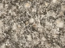 928D2B3B-95A9-4571-80D6-50F82F3AA269