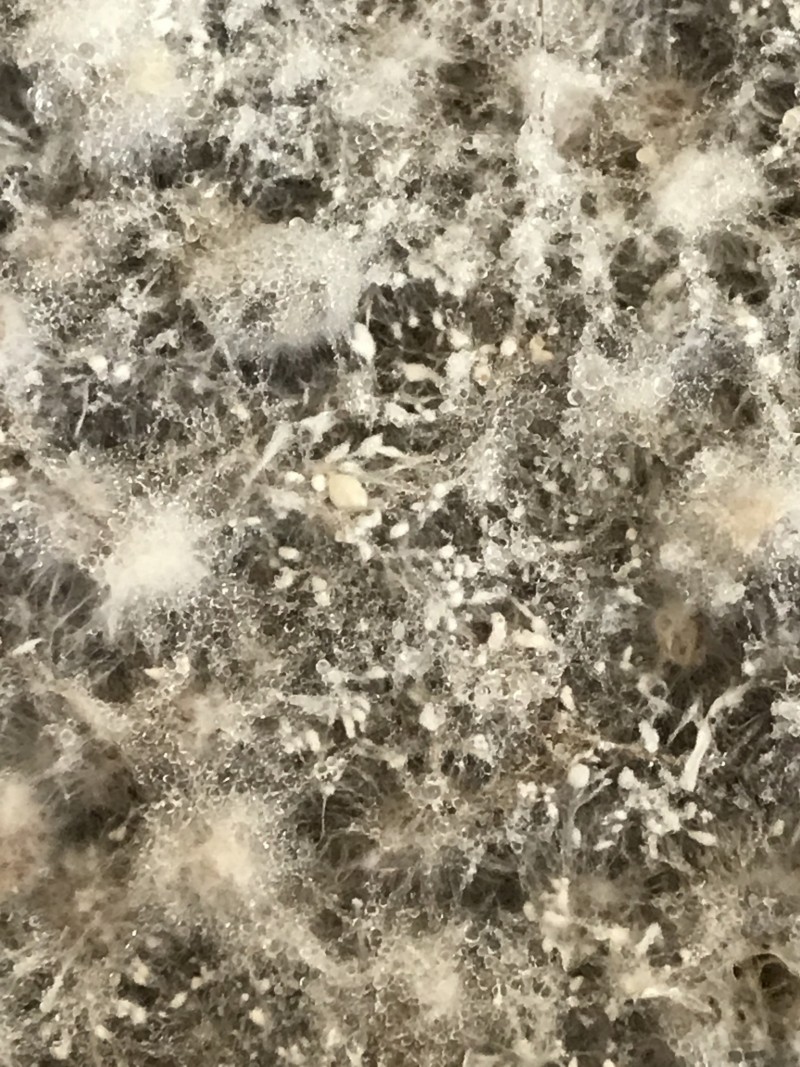 BCF5071A-BD8D-4283-B20E-3E8644F461E0