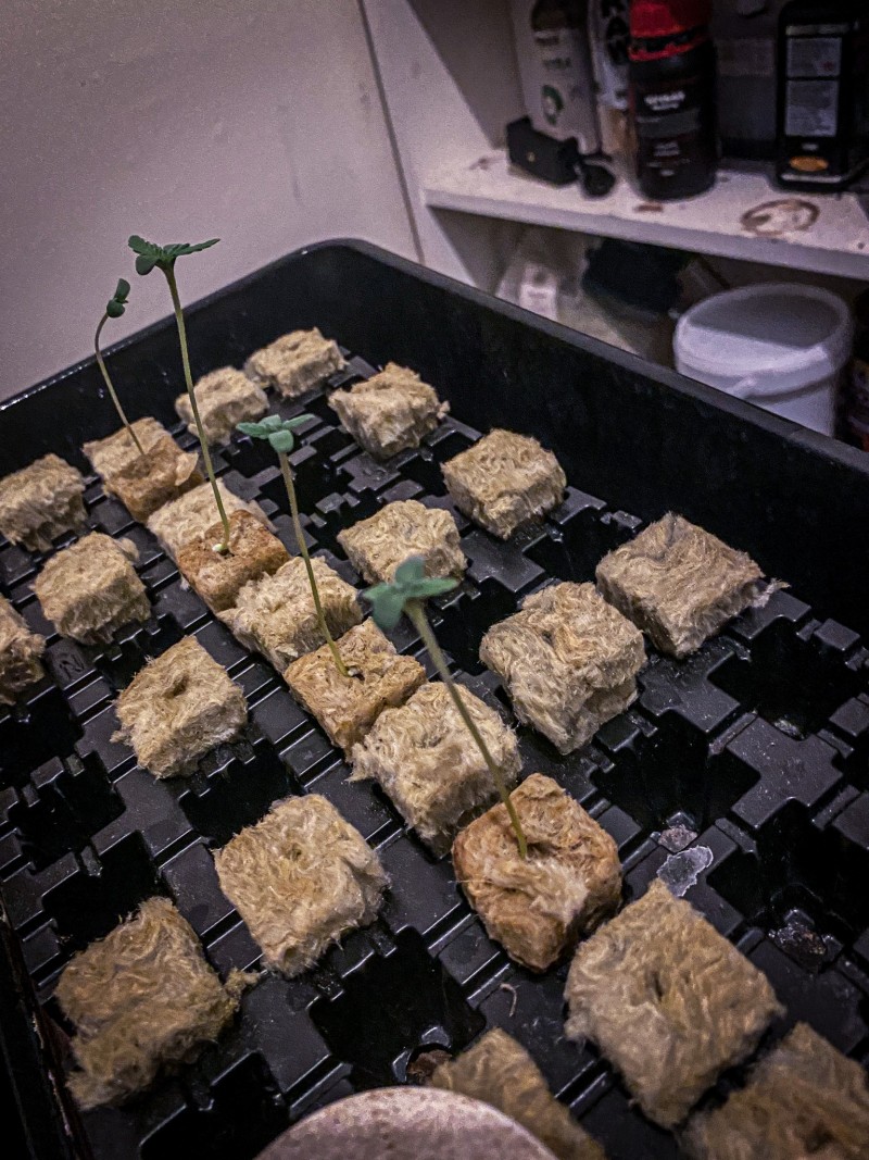 5BE71AB4-895A-4922-A754-4A8B406319CC