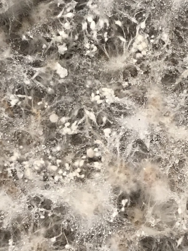 A3986447-B57D-4784-B168-F1F482CAD713