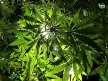 139A0C1D-C95B-4855-B522-46C2072800E9