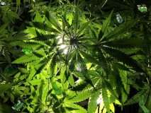 139A0C1D-C95B-4855-B522-46C2072800E9_