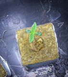 016318B7-E0ED-4454-A27F-9DFA2051B8AD