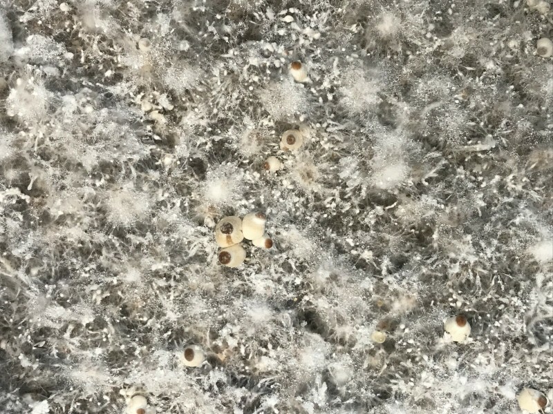 8E78AD9F-119D-480E-84D8-6699746D5E0B