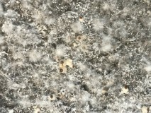 8E78AD9F-119D-480E-84D8-6699746D5E0B