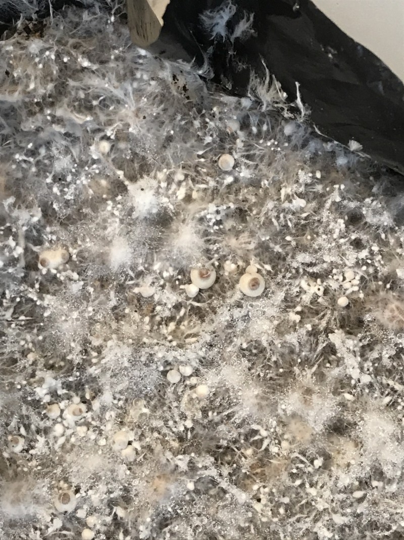 5FFF5DCE-8C73-4503-B88A-9D6DCFC5442D