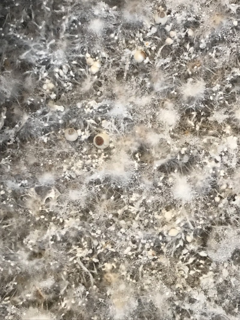 93A3D453-E9CE-4EA9-AB46-EC58B463AF7E