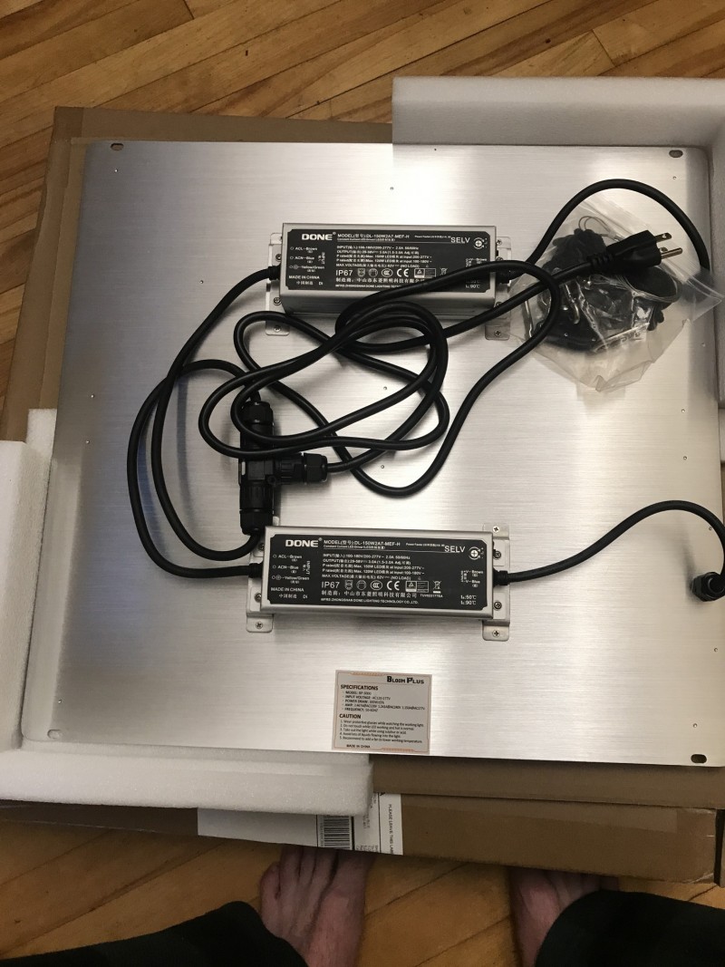 29E16339-3928-4A61-82EF-0740C1BA5001