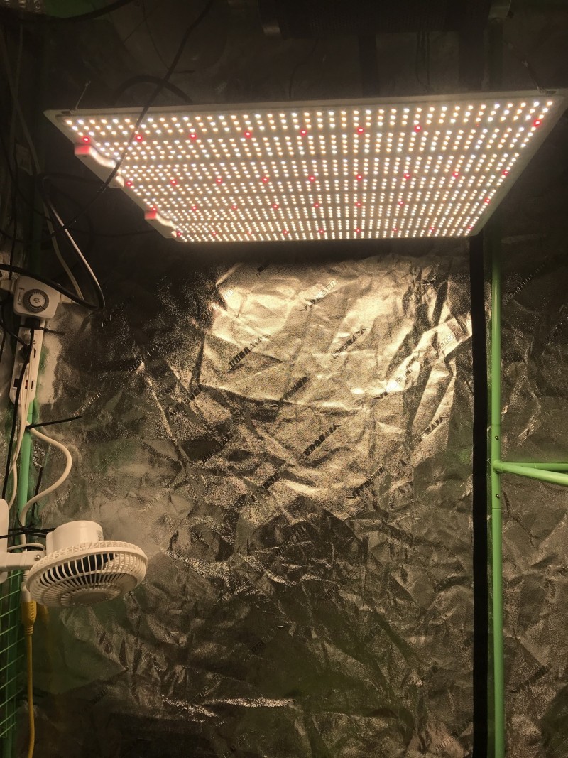 5980478D-DA89-47DB-80D6-5382C1F7FC6A