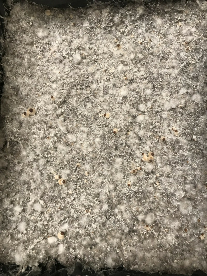 842AE4B5-6D97-4FBC-9011-3F0C34810F83