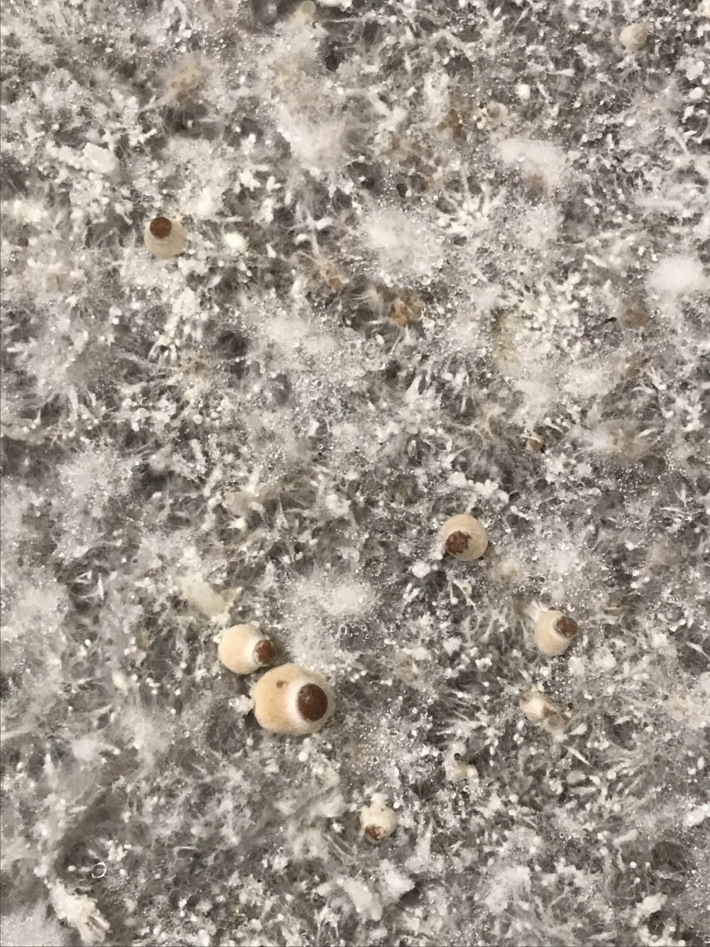 BB104ABD-B4B3-43DA-81F1-92EECFED6610