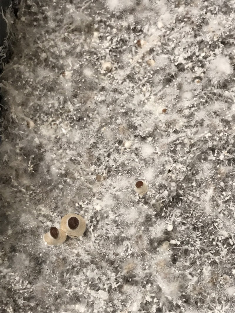 8C3C93F8-1E67-4652-98A2-56E1FB87A097