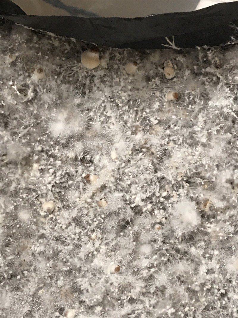 A24BFD62-183C-4ACF-971F-90E0A8CEE9A8