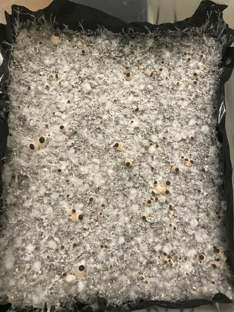 4AE93F9A-4821-4152-895E-36B12BDD8571