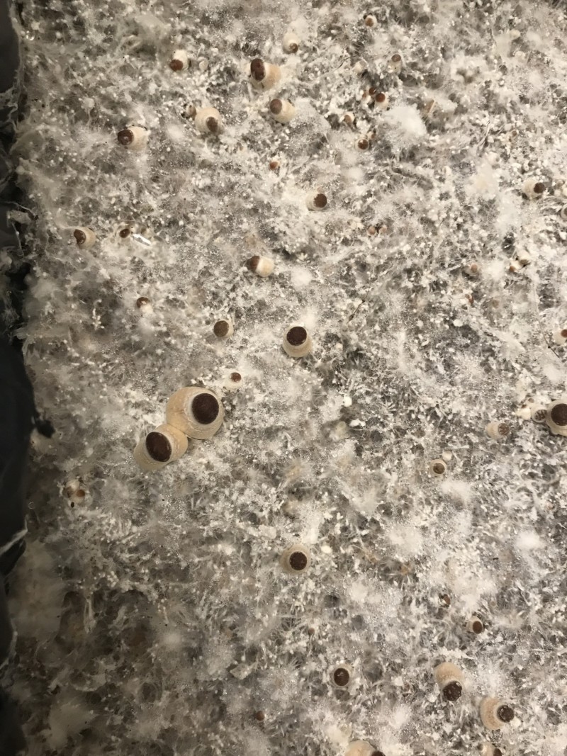 78599428-6E16-49A5-ADDA-B5D2D3D5C7D1