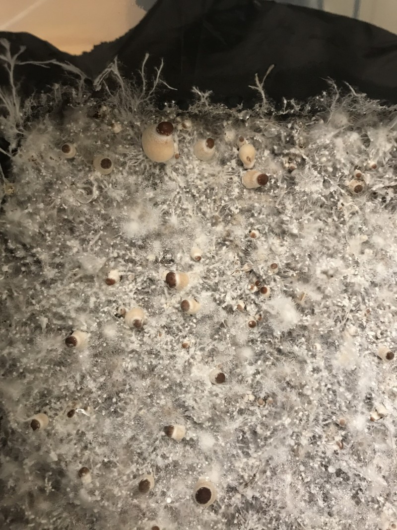 2B7D241B-C080-4853-B615-EB17630D17B4