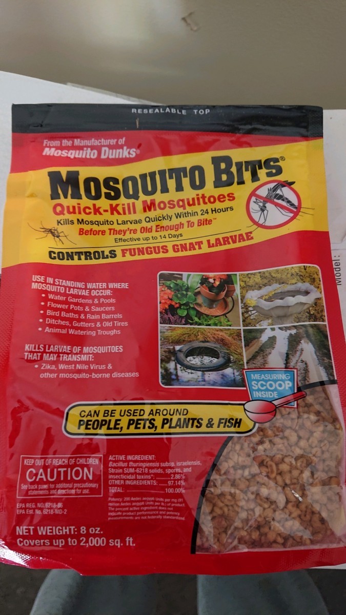 obscura1633967431633