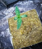 51D58338-8CF0-4092-9AE9-8A4DE92AFEF0