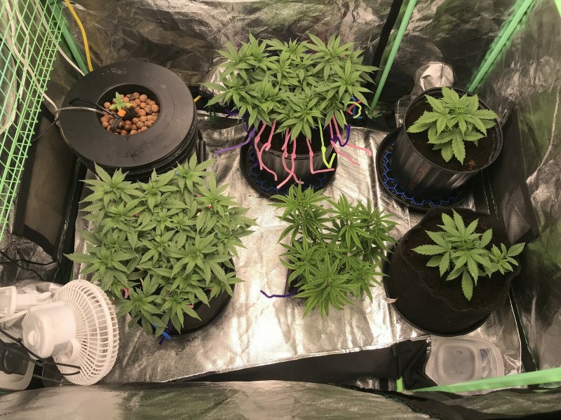 1DF4290B-EF75-4EA4-95C4-D0ED8C2B0AF6