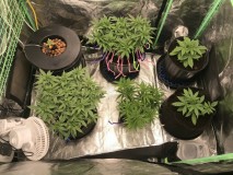 1DF4290B-EF75-4EA4-95C4-D0ED8C2B0AF6