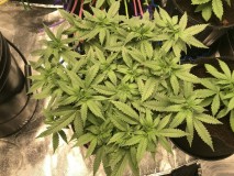 6AC6E39C-4776-4799-A58A-7950A1C47296