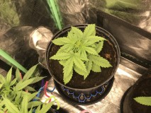 C35FD0A9-44C3-4F66-BDC6-16347F561A64