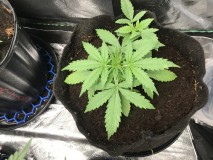 90182093-7A8C-4510-A87E-ED2615847F5C