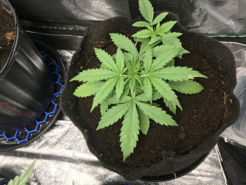 356ED6B9-23A7-4CB5-9518-E7C8A6DD9782