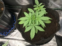 356ED6B9-23A7-4CB5-9518-E7C8A6DD9782