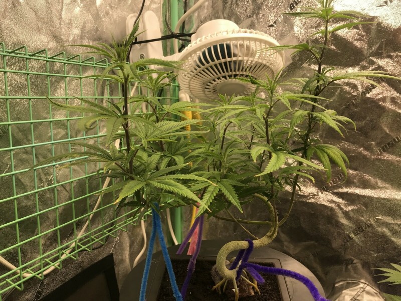 C5ABB09B-DEE0-4A8D-925A-D1028125AEFF