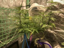 C5ABB09B-DEE0-4A8D-925A-D1028125AEFF