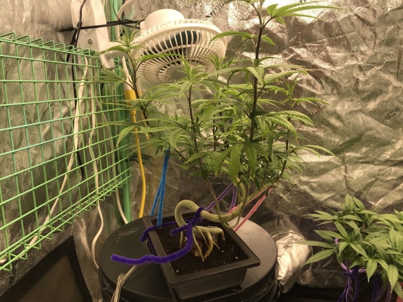 04EFF7B6-85A5-42F2-B0DC-5BAD9701C4BE