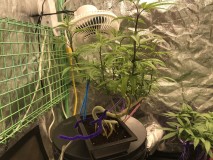 04EFF7B6-85A5-42F2-B0DC-5BAD9701C4BE