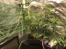 A6208A9B-F8AA-4046-96F5-0300577567DF