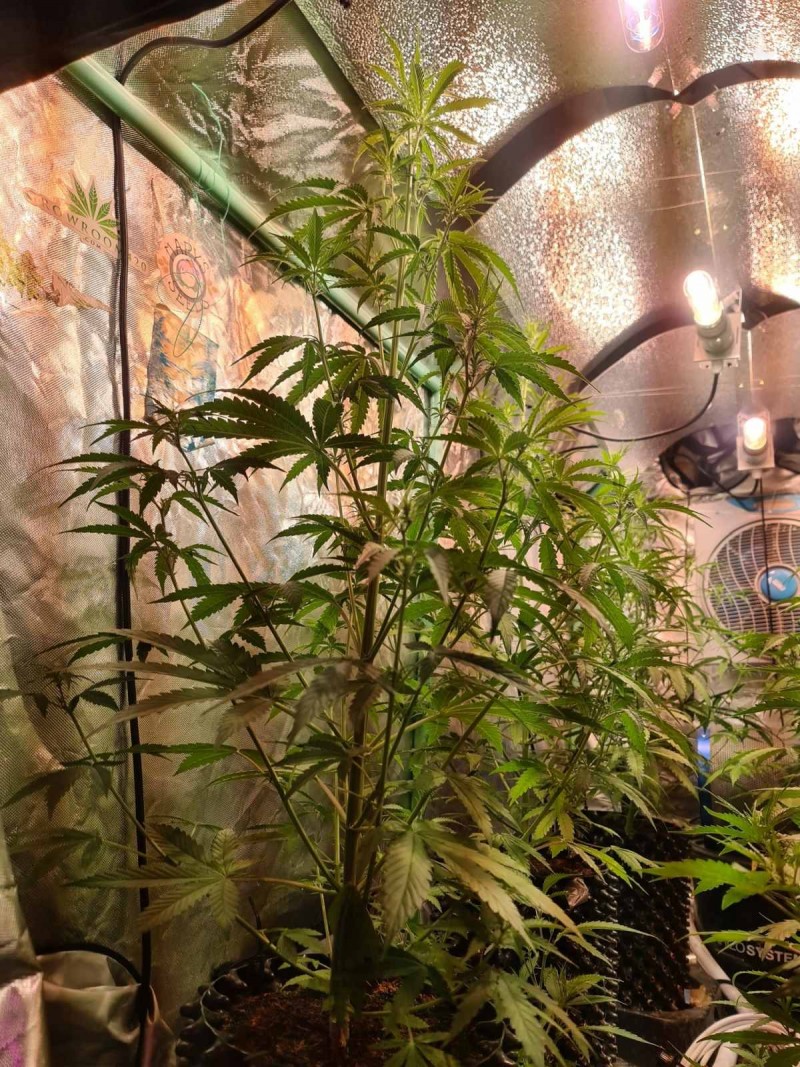 20211011_223106_compress51