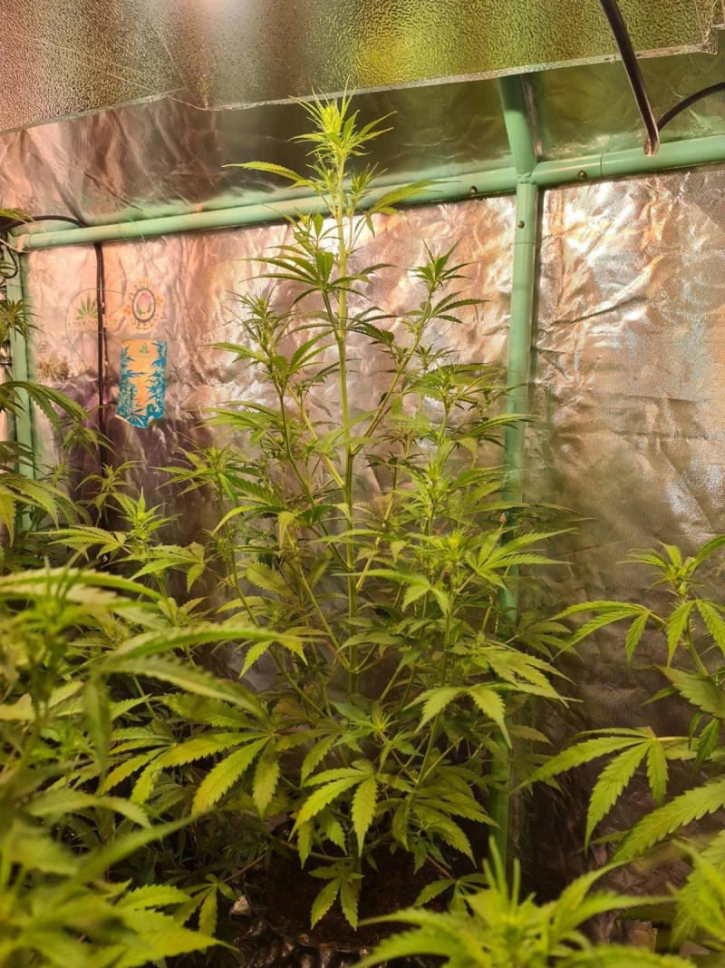 20211011_223036_compress33