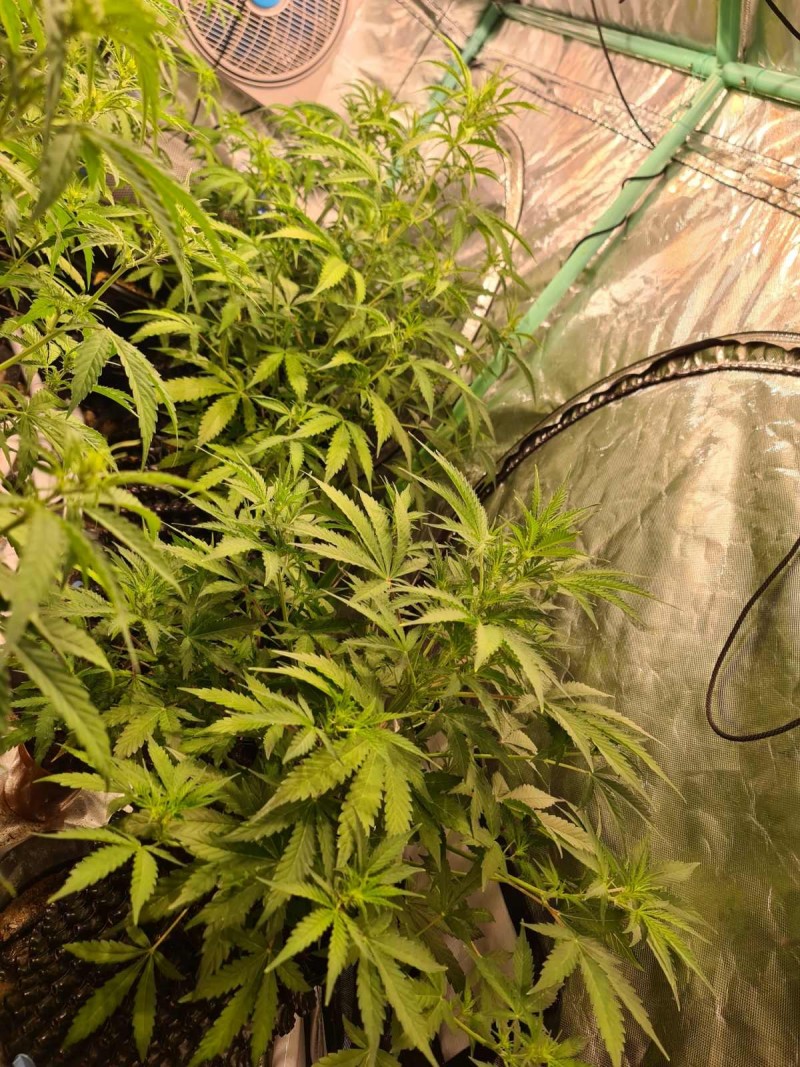 20211011_223123_compress90