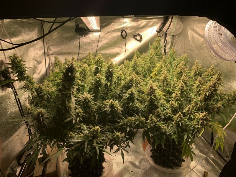 Together 1 last time