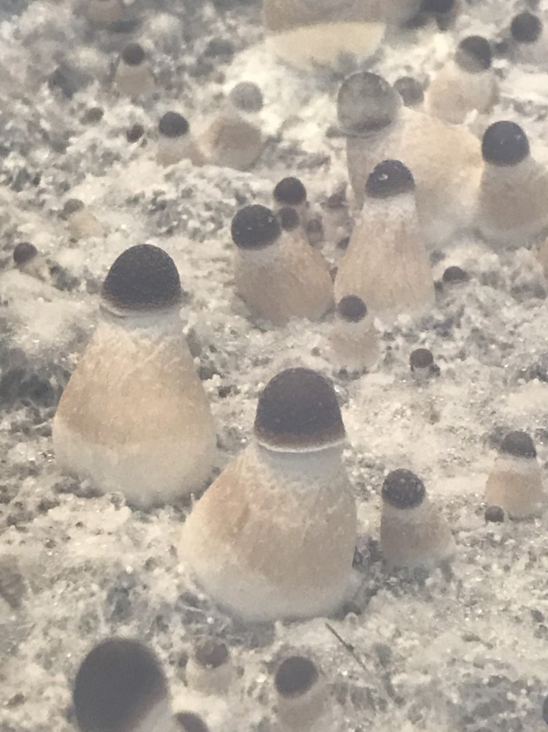 8E464087-1E45-4942-9150-1E6406B901CE