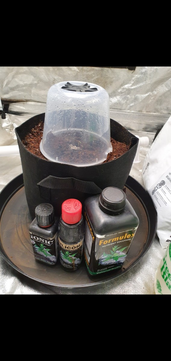 Screenshot_20211012-184316_Gallery