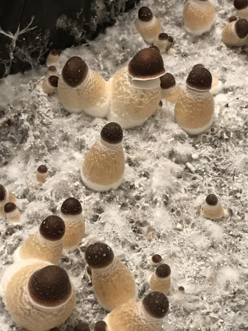 360799E3-0FCF-4729-902A-8845F7962ED8