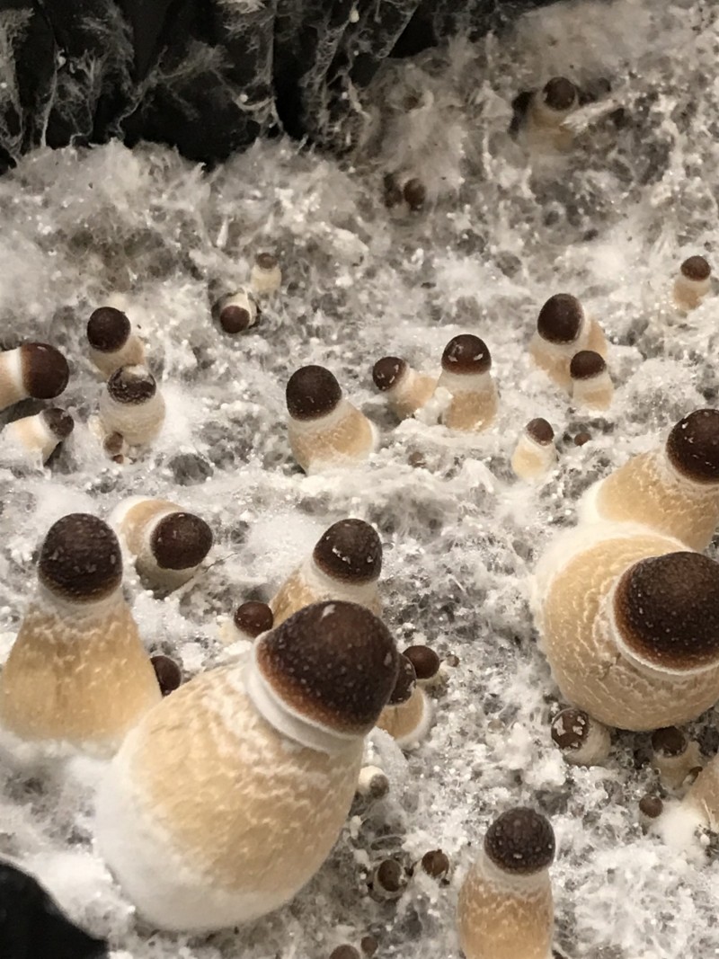 4E34E6A1-8A18-4683-B402-083A0BF2A9B3