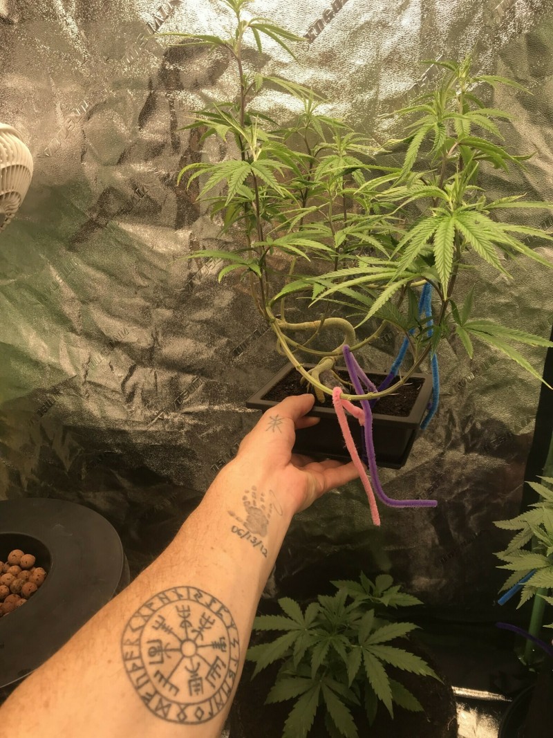 B5E5D2DD-090D-4EA7-94A5-835ABB7ECE62