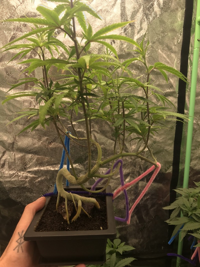 025887C9-F20B-49C6-9267-62288F82D85A