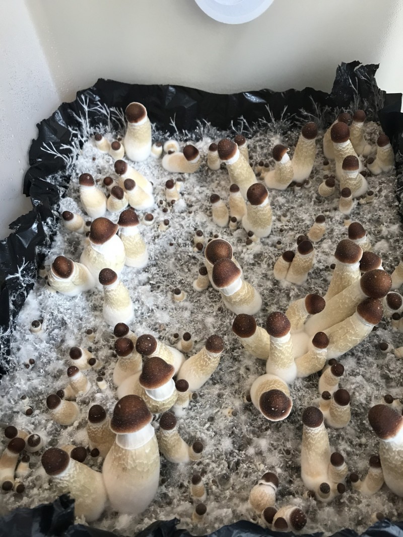 598A4D9C-0871-4AD1-BEF7-AC800B275E4C