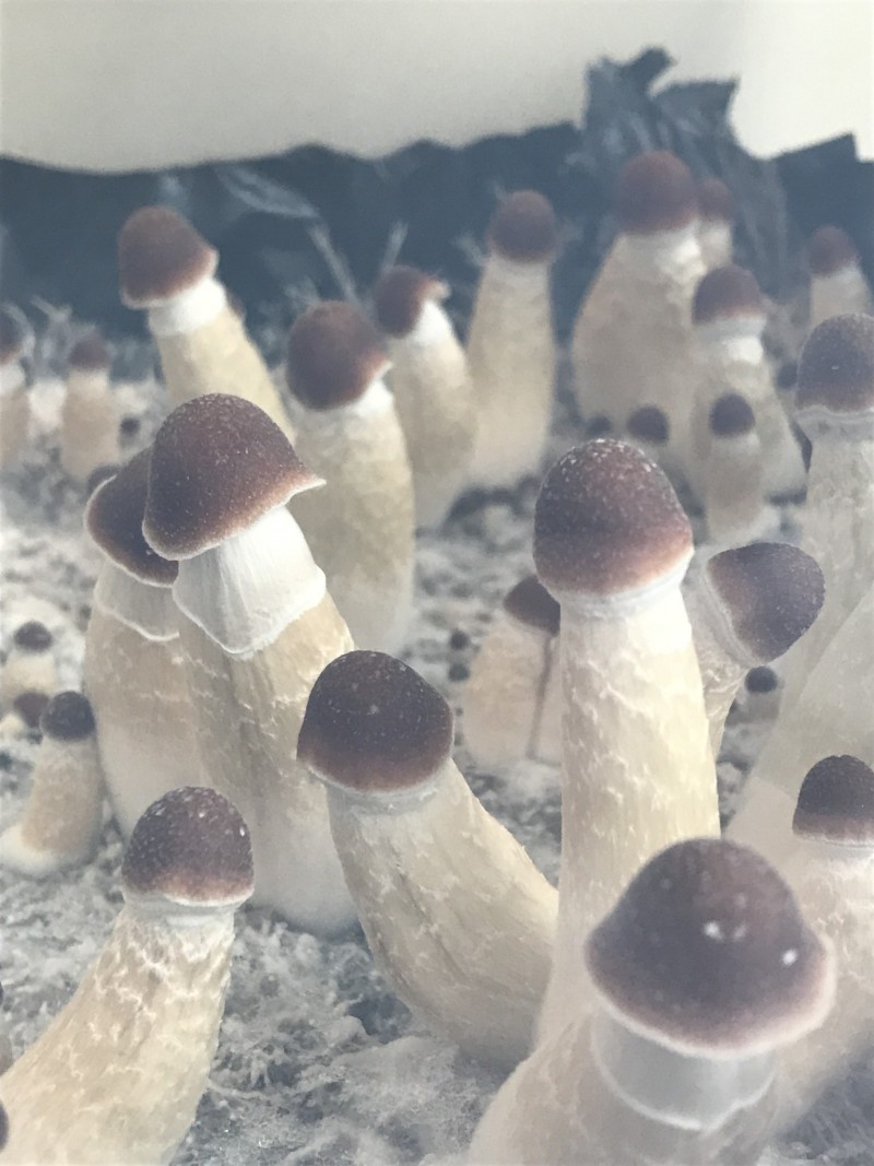 B5D6B948-857A-437A-B6F7-F93FC923A985