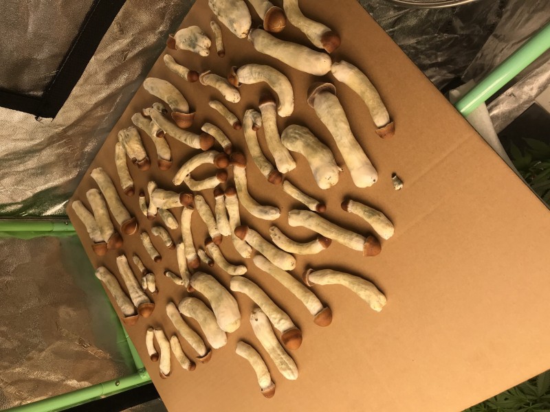 B0DEF28F-AB6D-48A6-9911-09A64FA7D0A8