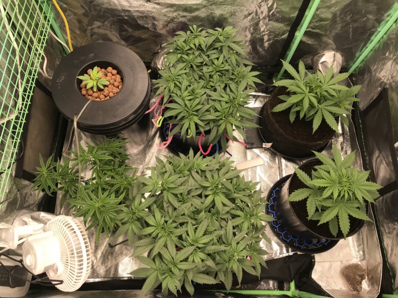 B8FBEA6A-46FB-437A-A835-F9E21C5D60BF