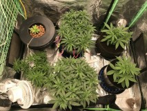 B8FBEA6A-46FB-437A-A835-F9E21C5D60BF